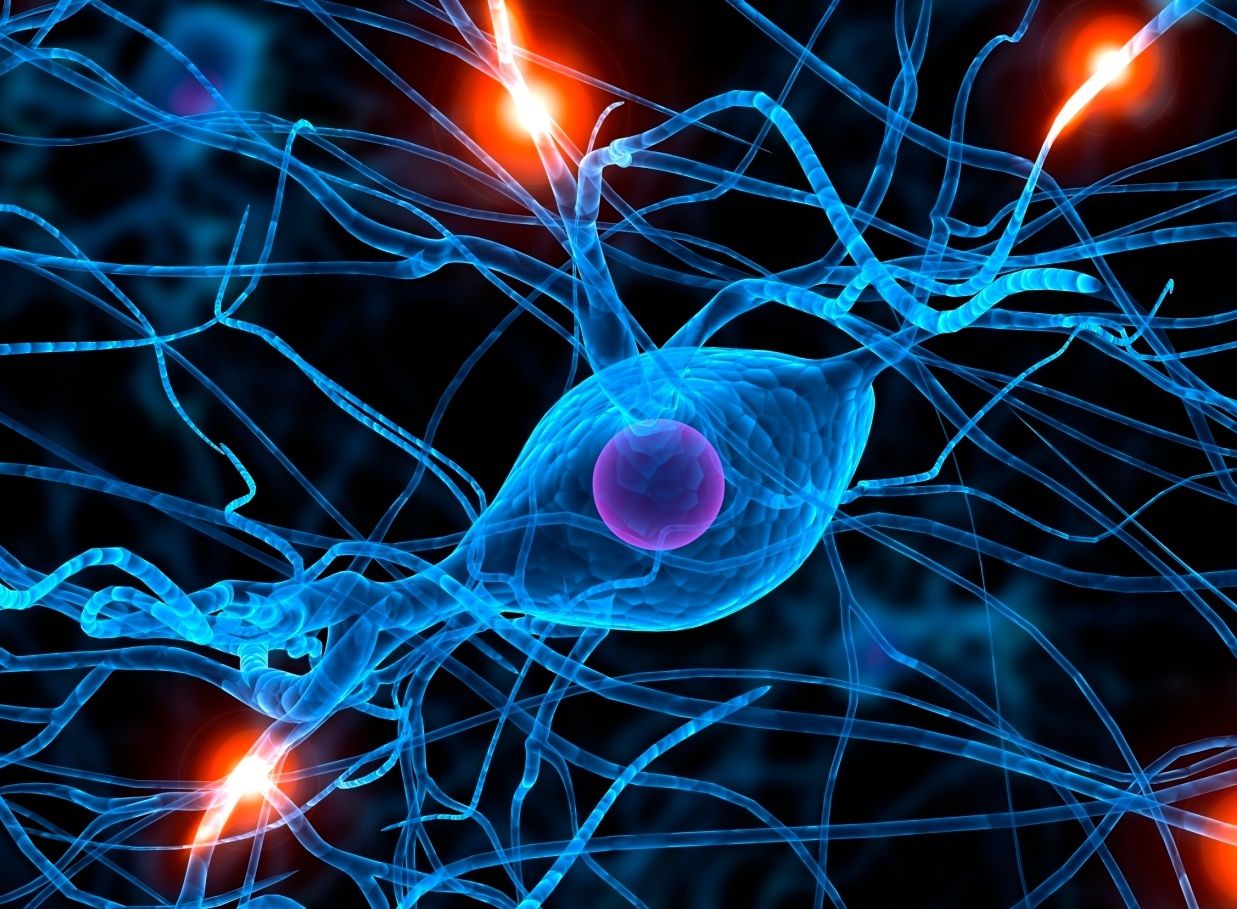 PSICOFISIOLOGIA POR LIZZET MONSALVE