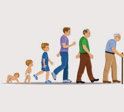 FUNDAMENTOS DE LA PSICOFISIOLOGÍA, NEURODESARROLLO Y SISTEMA NERVIOSO