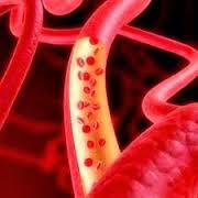 Adaptaciones Cardiovasculares en el ejercicio