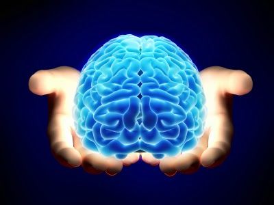 Fundamentos de la Psicofisiología, Neurodesarrollo y Sistema Nervioso.