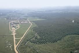 AGROPECUARIA SANTAMARIA Sembrando un futuro