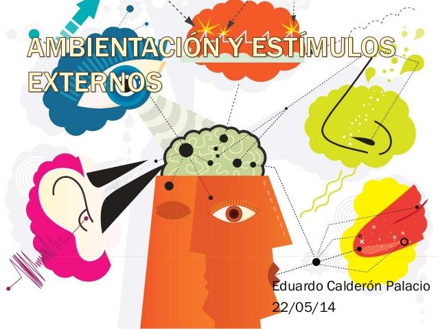 Las Bases dela Imputabilidad de la Conducta Impulsiva