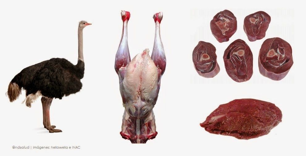 BENEFICIOS DE LOS ANIMALES A LOS SERES HUMANOS