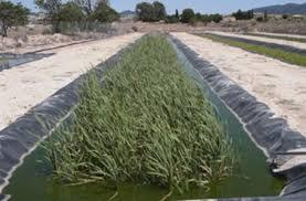 Unidad 3: INTRODUCCION A LOS SISTEMAS DE TRATAMIENTO DE AGUAS RESIDUALES