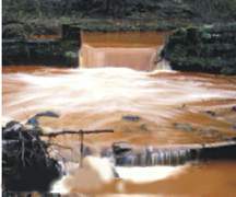 Unidad 2 SANEAMIENTO DEL AGUA Y LA SALUD