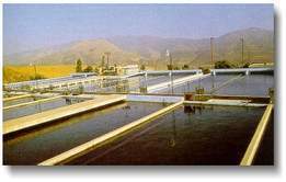 Unidad 2 SANEAMIENTO DEL AGUA Y LA SALUD