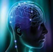 NEUROPSICOLOGIA DEL ENVEJECIMIENTO