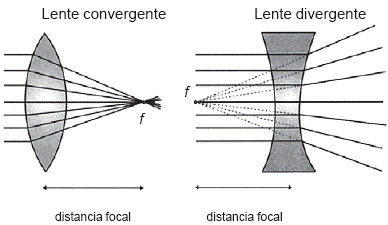 HISTORIA MICROSCOPIO