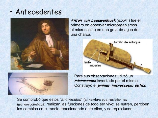 HISTORIA MICROSCOPIO