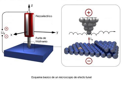 HISTORIA MICROSCOPIO