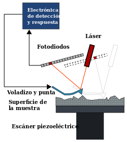 HISTORIA MICROSCOPIO