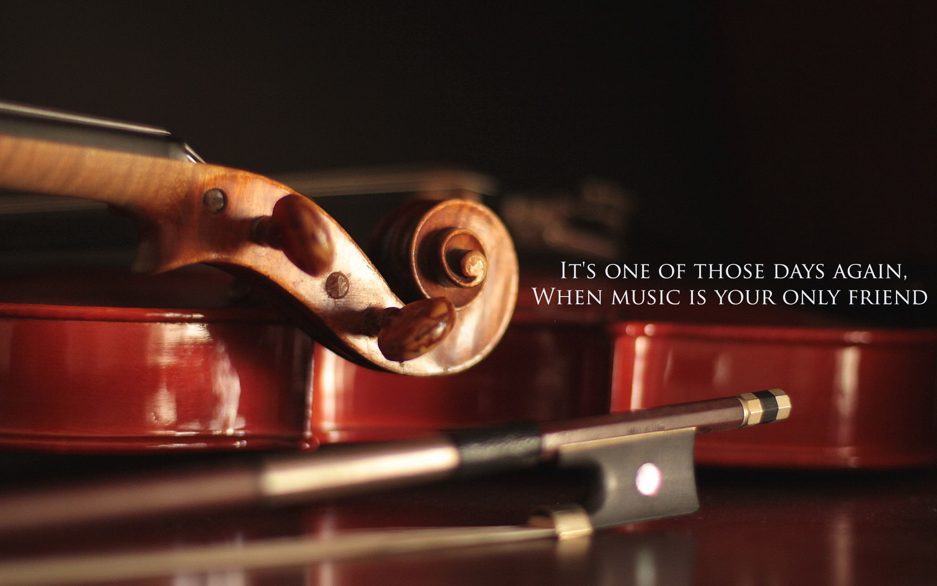 MUSICIAN
