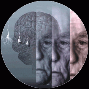 NEUROPSICOLOGIA DEL ENVEJECIMIENTO