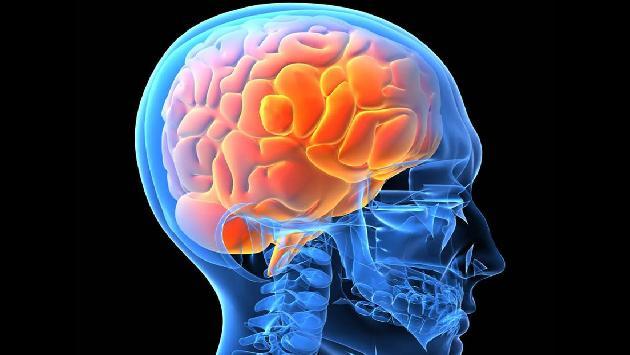 NEUROPSICOLOGIA DEL ENVEJECIMIENTO