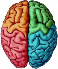 NEUROPSICOLOGIA DEL ENVEJECIMIENTO