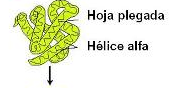 Moléculas Orgánicas