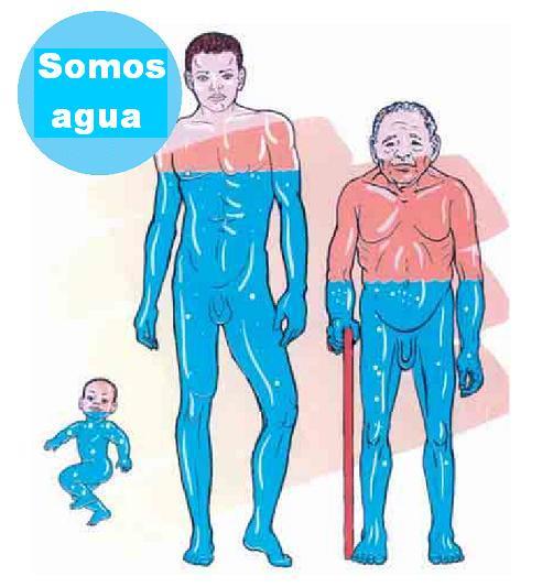 El AGUA