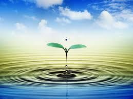 El AGUA