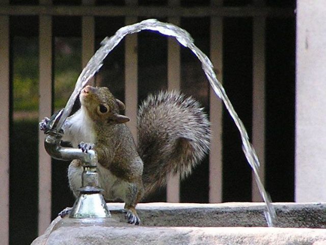 El AGUA
