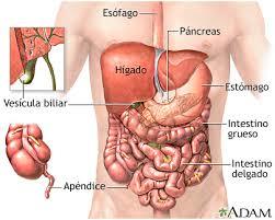 Niveles de organización de la materia