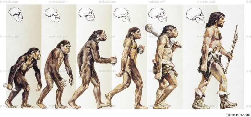 Aportes de Filosofía, Biología y Fisiología a la Psicología