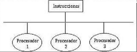 Cuatro clasificaciones definidas por Flynn