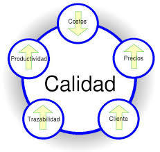 calidad,productividad y competitividad