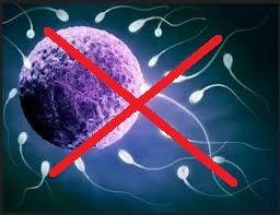 BACTERIAS