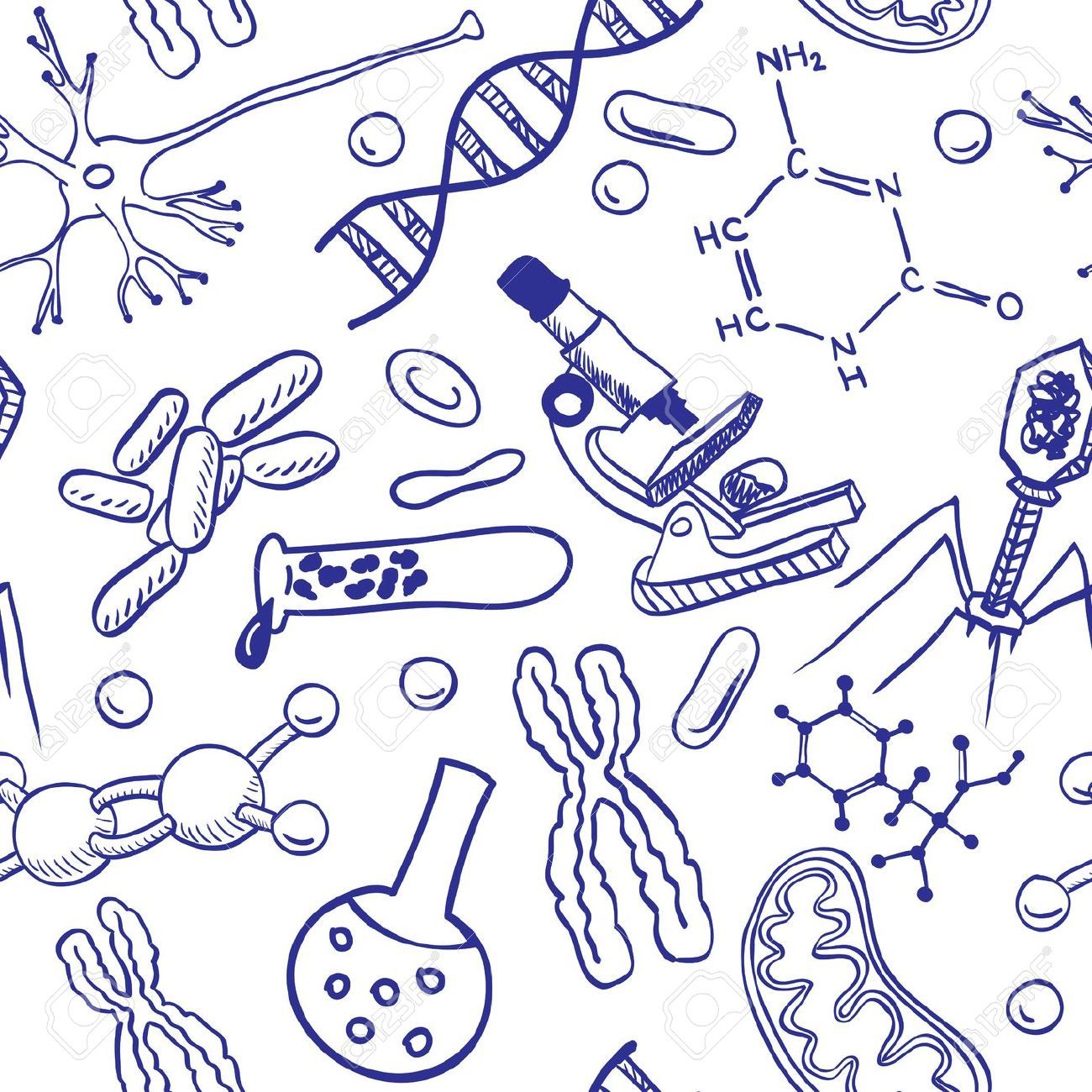 BACTERIAS