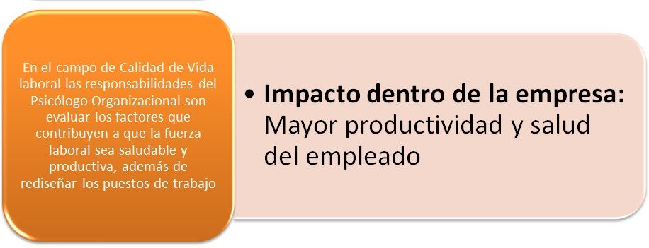 Campos de acción del psicólogo organizacional