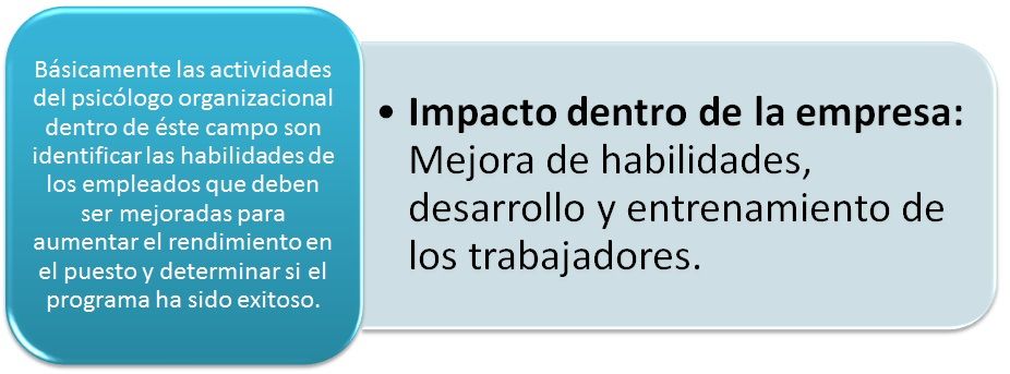 Campos de acción del psicólogo organizacional