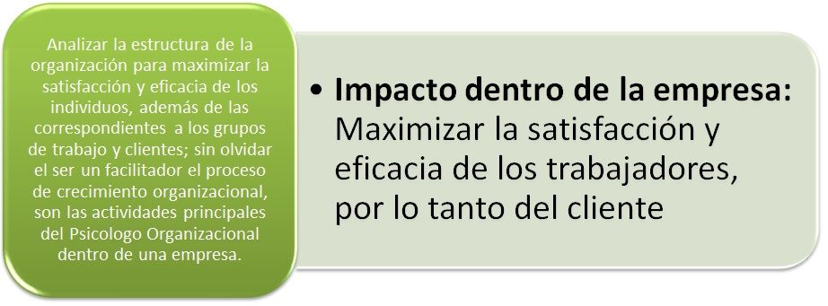 Campos de acción del psicólogo organizacional