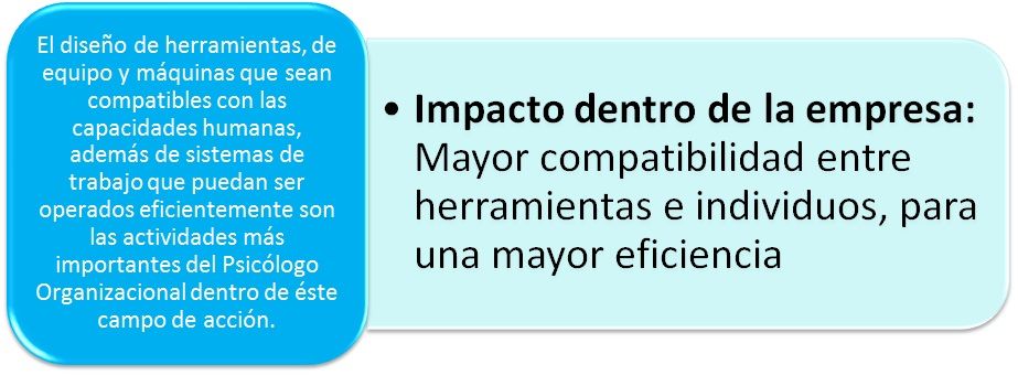 Campos de acción del psicólogo organizacional