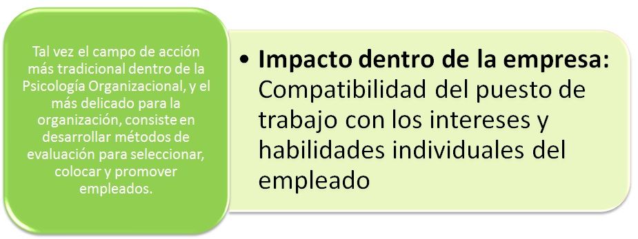 Campos de acción del psicólogo organizacional