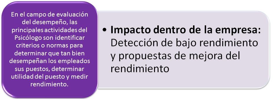 Campos de acción del psicólogo organizacional
