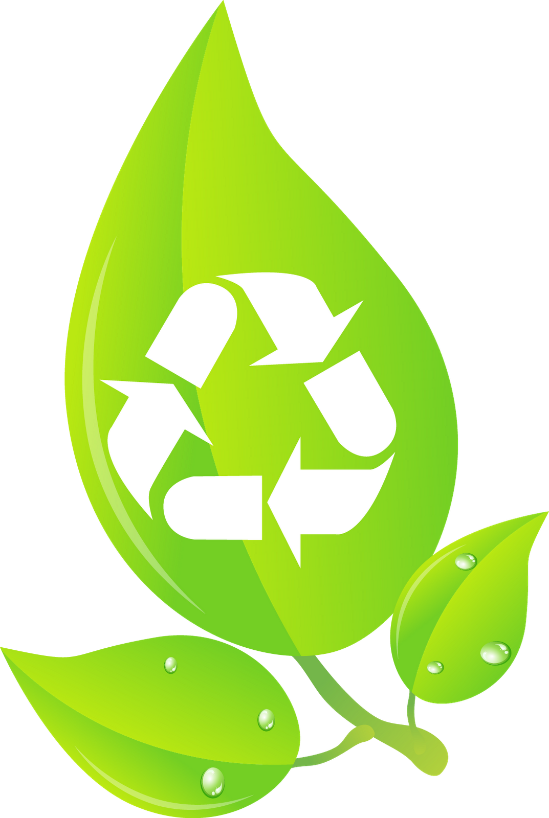 Visión general y crecimiento del Reciclaje