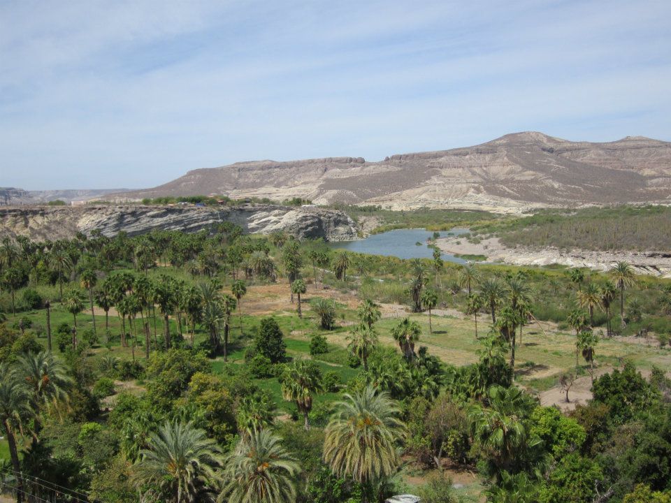 EVALUACIÓN DEL POTENCIAL TURÍSTICO RURAL EN LOS OASIS DE SAN ISIDRO Y LA PURÍSIMA.