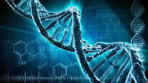 MOLECULAS BIOLÓGICAS