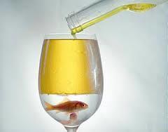 solido de un liquido