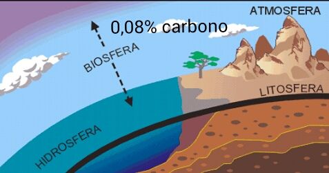 Características del átomo de carbono
