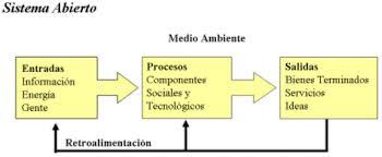 LAS ORGANIZACIONES