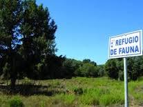 Manejo y conservación de la Fauna Silvestre como recurso