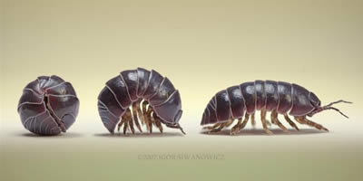 Reemplazo de la fauna endémica por fauna introducida y sus consecuencias