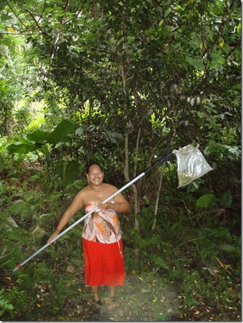 Sistemas Indigenas de Conocimiento "Navegantes de Micronesia"