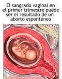 SESIÓN 16. Embarazo en los extremos de la vida. Aborto. Embarazo ectópico.