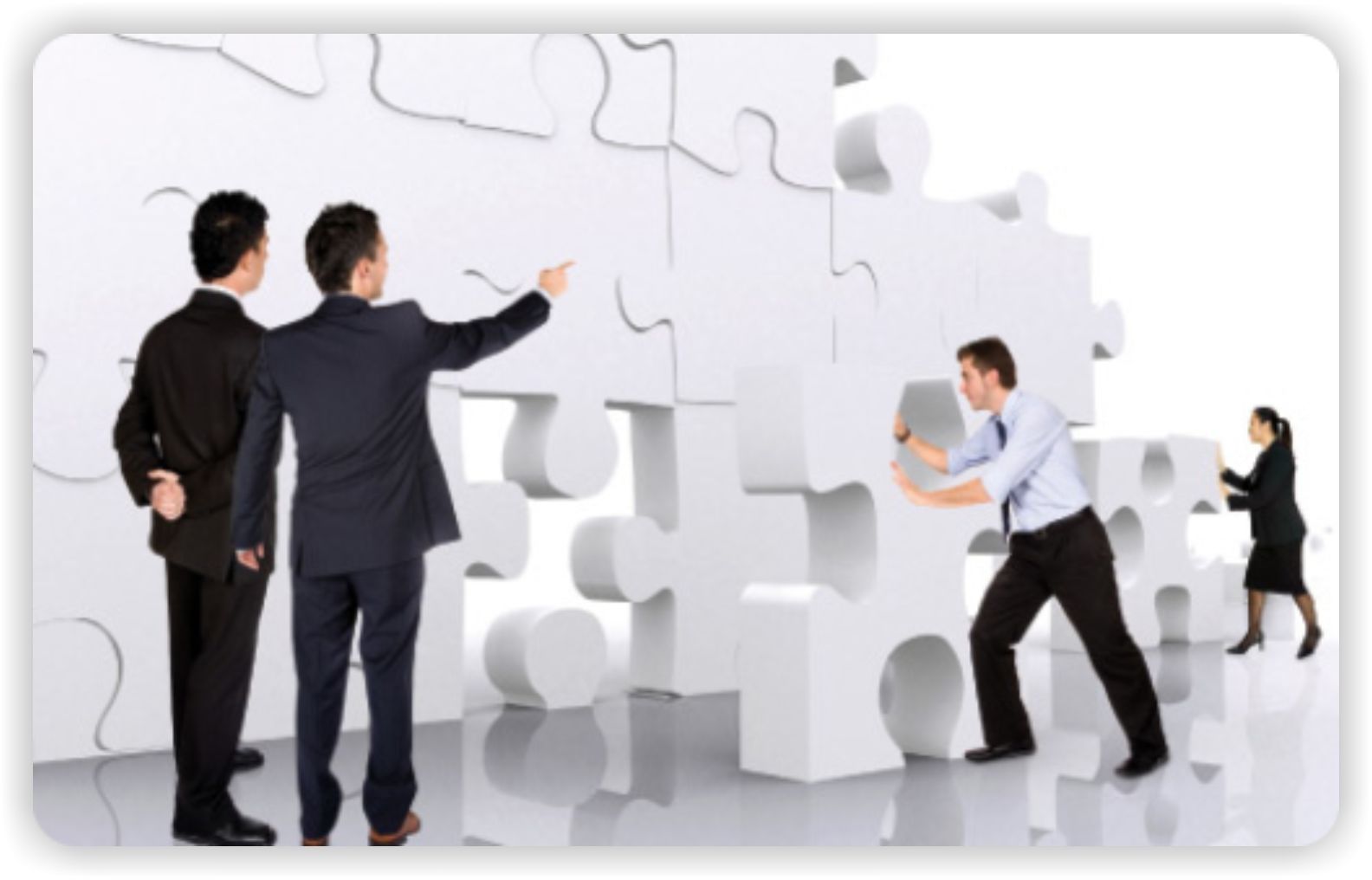 Principios de la Organización