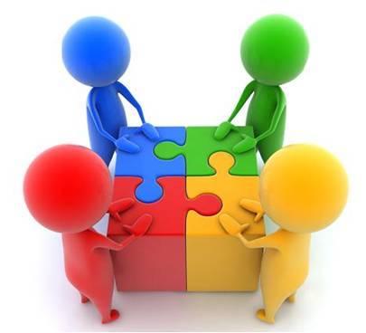 Principios de la Organización