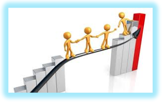 Principios de la Organización