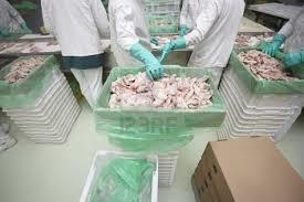 Producción de Pollo para el Consumo Humano en Colombia