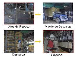 Producción de Pollo para el Consumo Humano en Colombia